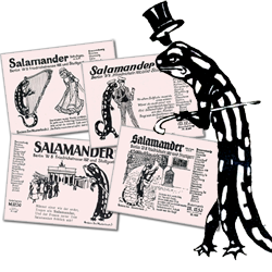 Lurchi salamander - Der Testsieger 