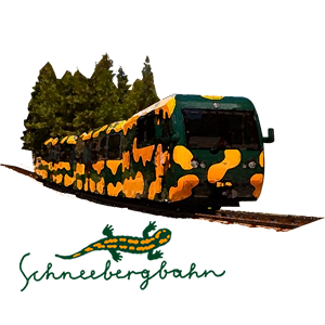 Der Salamander-Zug der Schneebergbahn